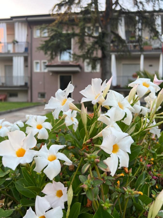 Otta House Garda Lake Кастельнуово-дель-Гарда Экстерьер фото